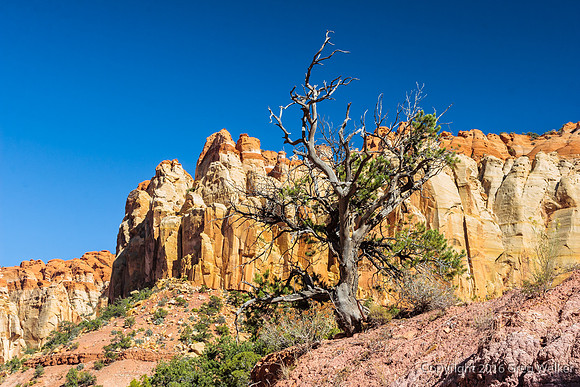 Burr Trail Shots