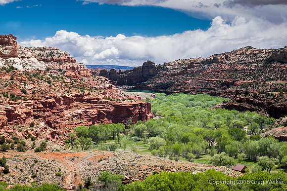 Views Of The Kiva Coffee House