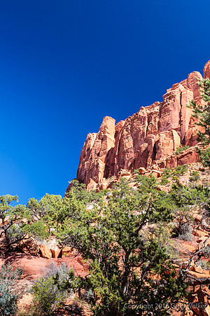 Burr Trail Shots