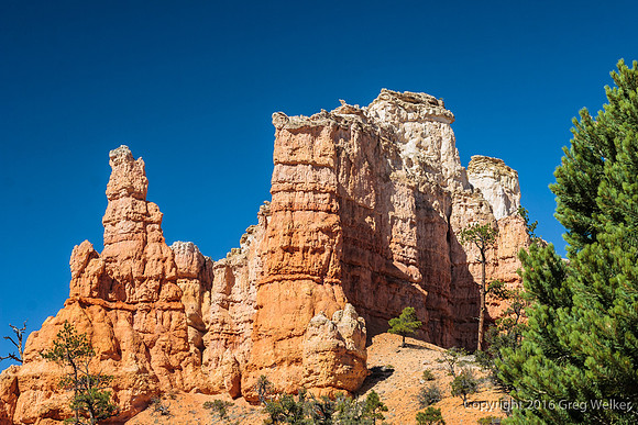 Water Canyon