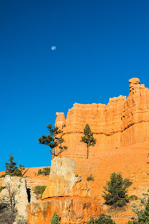Red Canyon Trailhead