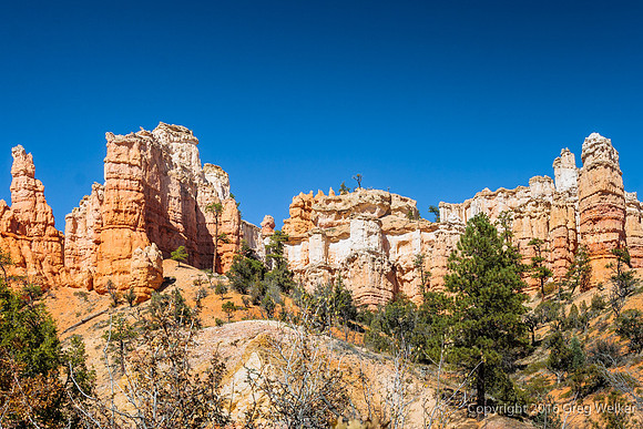 Water Canyon