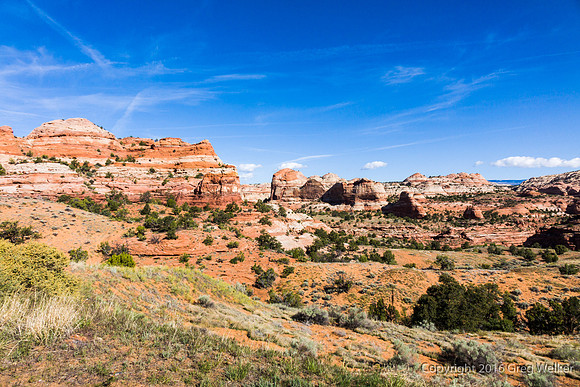 Burr Trail Shots