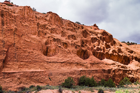 Burr Trail Shots