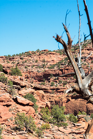 Burr Trail Shots