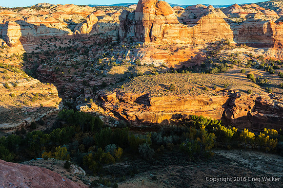 Views Of Escalante River Canyon