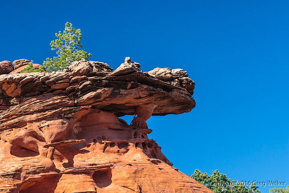 Burr Trail Shots