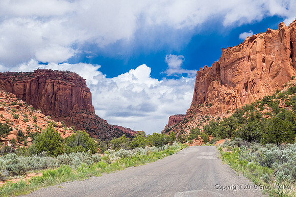 Burr Trail Shots