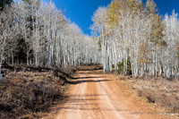 On Road To/From Barker Recreation Area