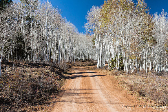 On Road To/From Barker Recreation Area
