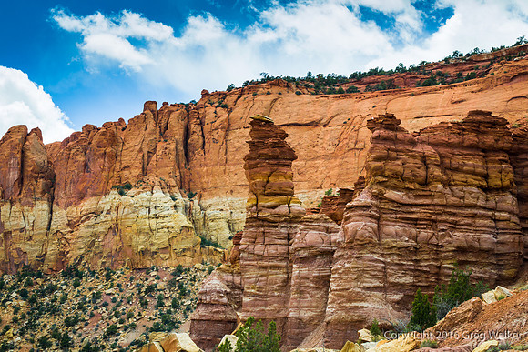 Burr Trail Shots