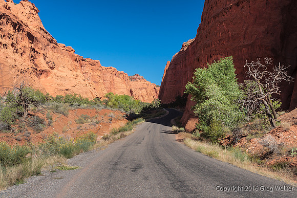 Burr Trail Shots