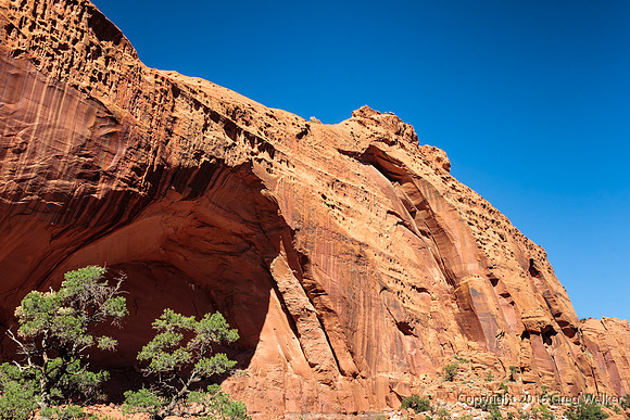 Burr Trail Shots