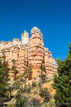 Water Canyon