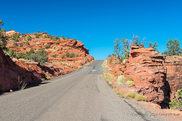 Burr Trail Shots