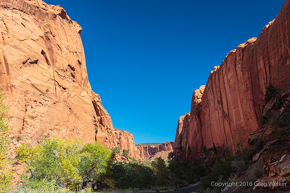 Burr Trail Shots