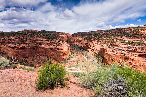 Burr Trail Shots