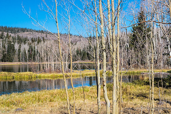 Shots At Barker Recreation Area & Reservoir Outside Escalante