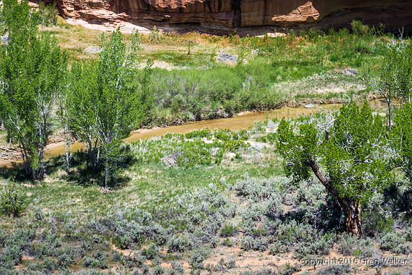 Escalante River