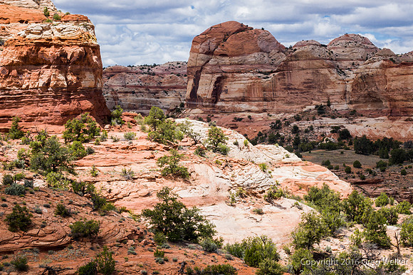 Views Of Escalante River Canyon