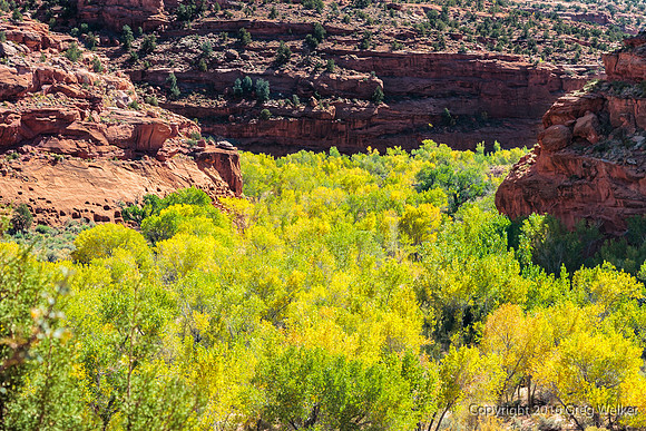 Burr Trail Shots