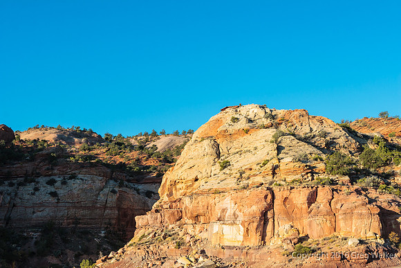 Views Of Escalante River Canyon