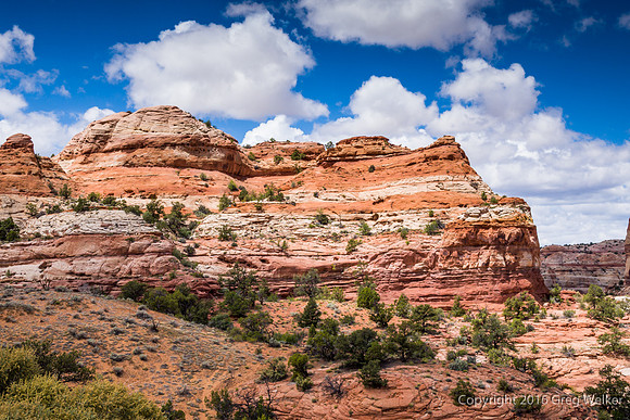 Views Of Escalante River Canyon