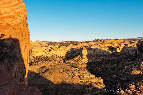 Views Of Escalante River Canyon