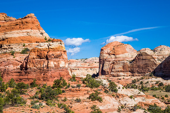 Views Of Escalante River Canyon