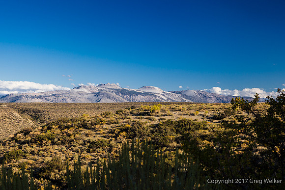View of Mono Craters.