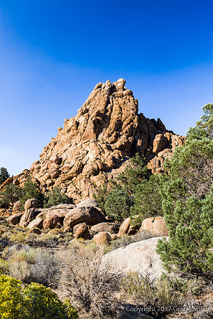 Shots from Hwy 120 - Benton to Hwy 395.