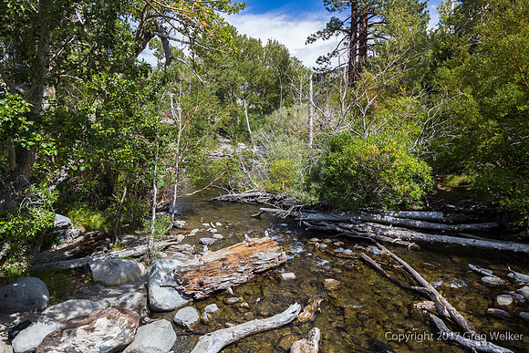 Convict Lake.