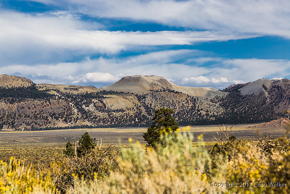 View Of Mono Craters.