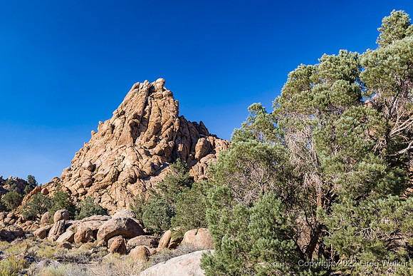 Shots from Hwy 120 - Benton to Hwy 395.