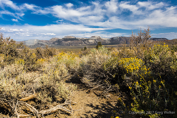 View Of Mono Craters.