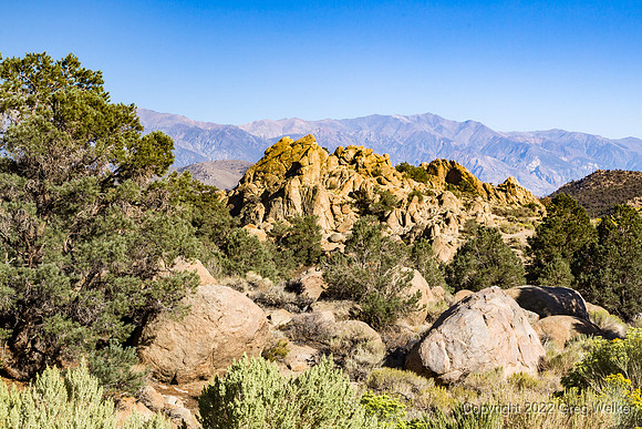 Shots from Hwy 120 - Benton to Hwy 395.