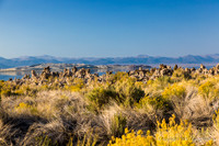 Mono Lake.