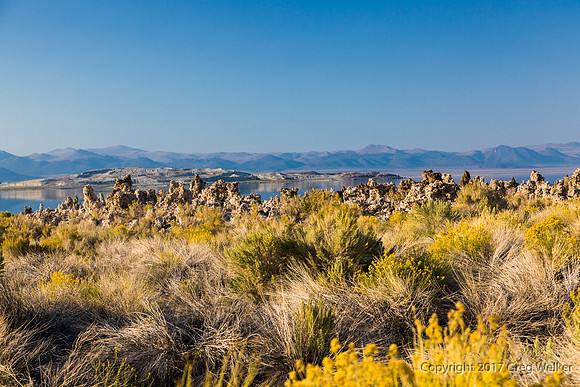 Mono Lake.