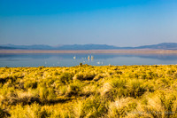 Mono Lake.