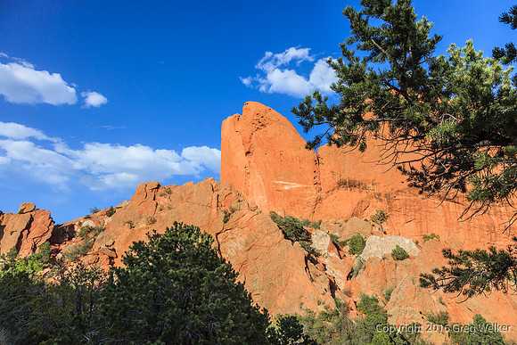 Shots In The Garden Of The Gods Park