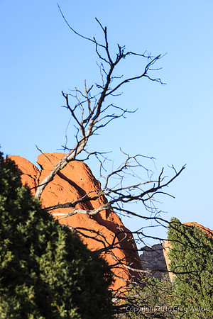 Shots In The Garden Of The Gods Park
