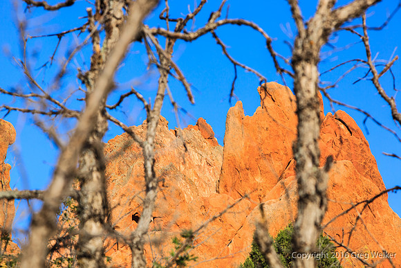Shots In The Garden Of The Gods Park
