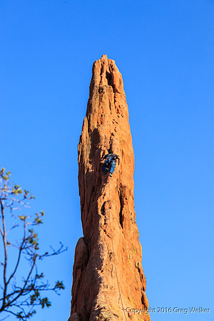 Shots In The Garden Of The Gods Park