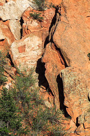 Shots In The Garden Of The Gods Park