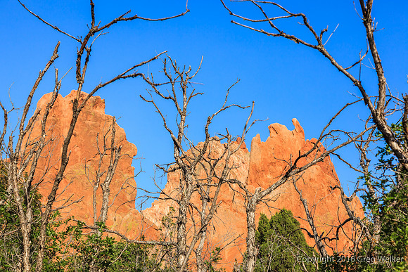 Shots In The Garden Of The Gods Park