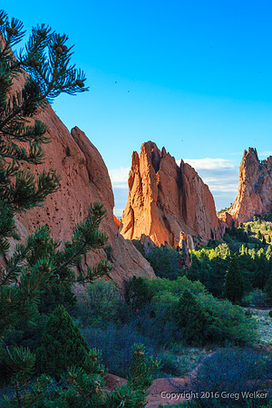 Shots In The Garden Of The Gods Park
