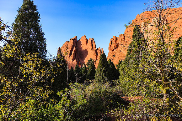 Shots In The Garden Of The Gods Park