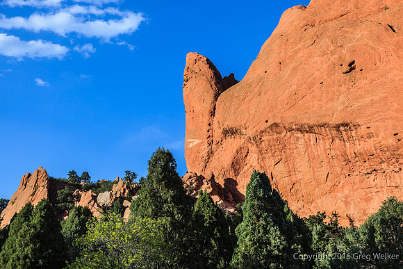 Shots In The Garden Of The Gods Park