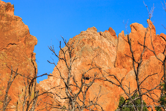 Shots In The Garden Of The Gods Park