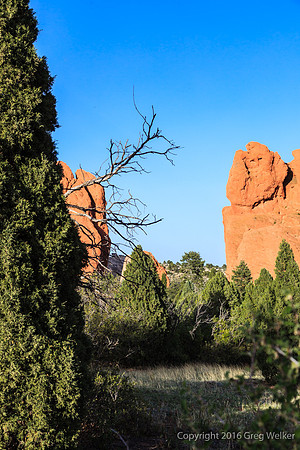 Shots In The Garden Of The Gods Park